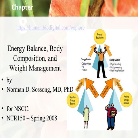 This is slide presentation of Energy Balanca.ppt