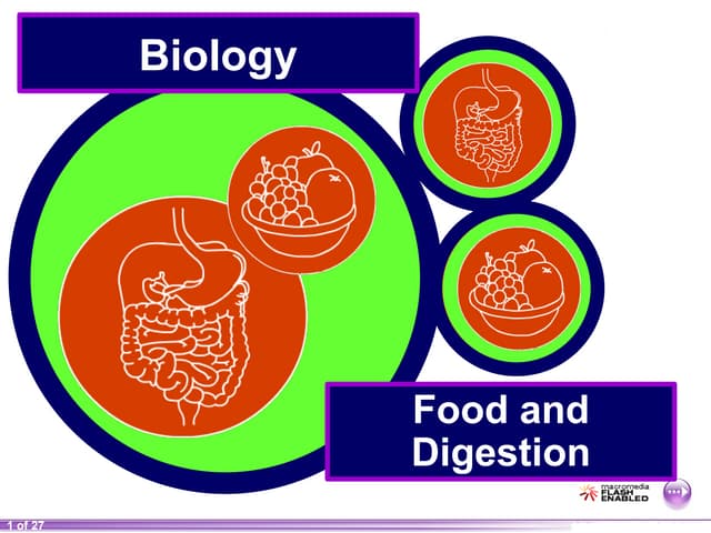 8A Food and Digestion - Digestive system - Grade 8