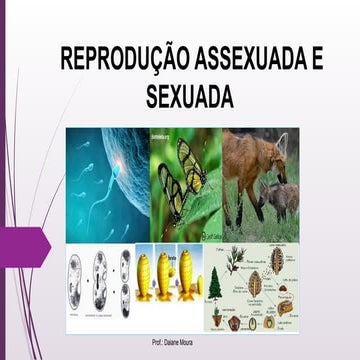 Exemplos De Reproducao Assexuada
