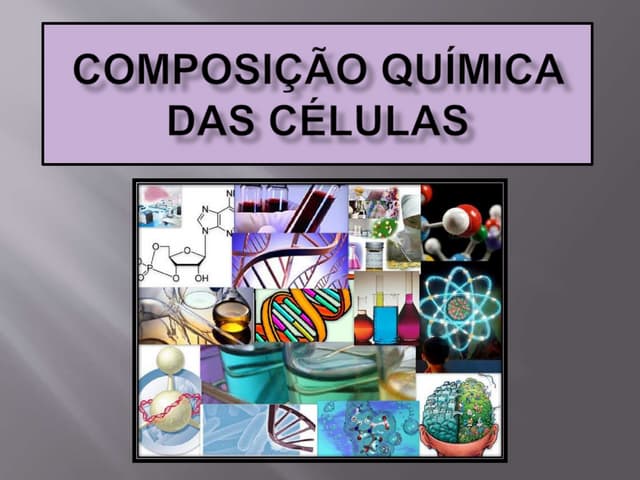 8 ano cap 2 estudo das células