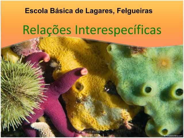 8ºano relações interespecíficas