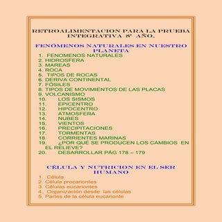 8º año retroalimentacion para la p...