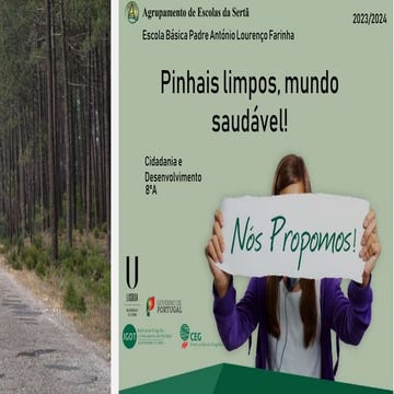 Nós Propomos! " Pinhais limpos, mundo saudável"