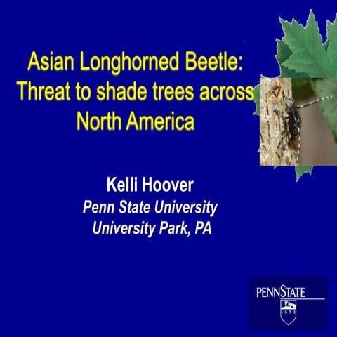 Asian Longhorned Beetle