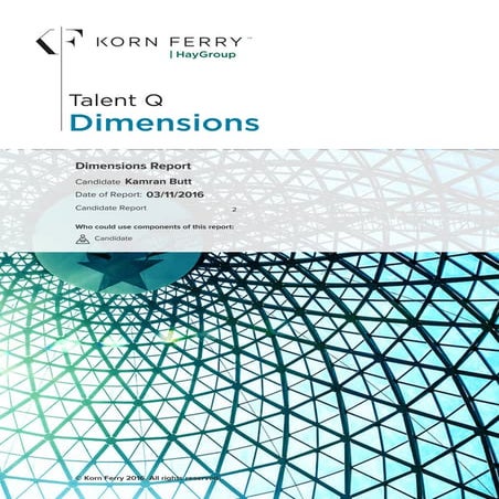 Talent Q Dimension Report - Korn Ferry Hay Group | PDF