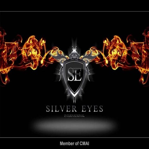PDF - Silver Eyes 2014
