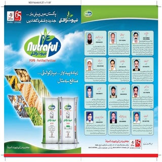 Nutraful Information