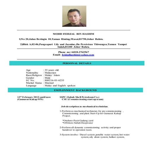 Mohd Feidzal bin Hashim cv