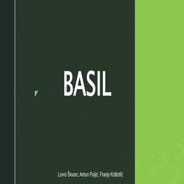 Basil 8b | PPTX