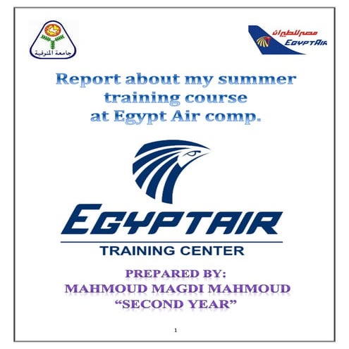 Egypt Air report