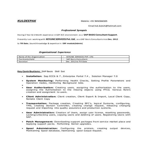 sap basis 2.5 yr exp. resume