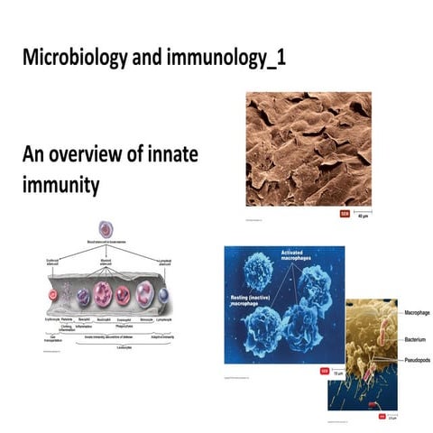 8 bio265 microbiology and immunology 1 instructor dr di bonaventura