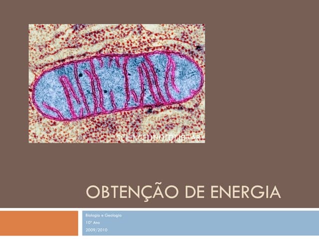 (8) biologia e geologia   10º ano -...