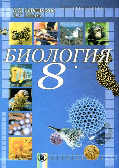 8 b s_ru