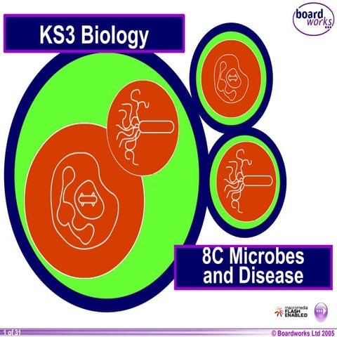 Microbes And Disease Ppt Diseases Which Can Spread Ppt