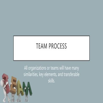 TEAM PROCESS