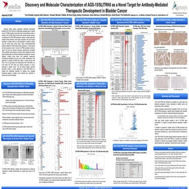 AACR 2013 Abstract 2047 Poster - SLITRK6 in Bladder Cancer - YS | PDF