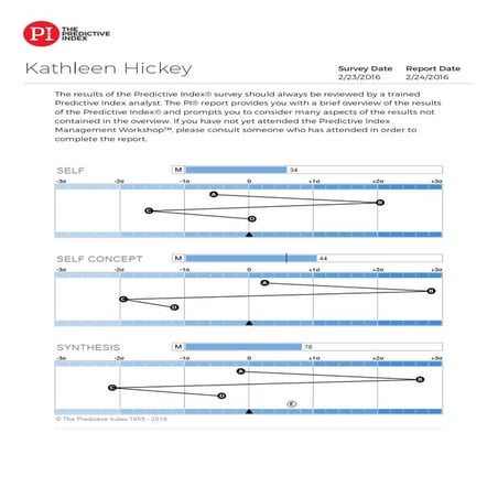 KathleenHickey-PIReport