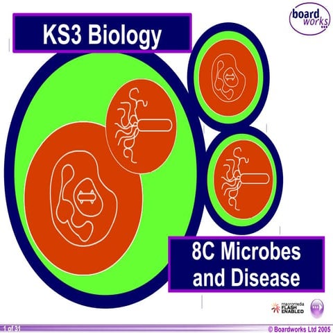 8 c microbes & disease (boardworks)