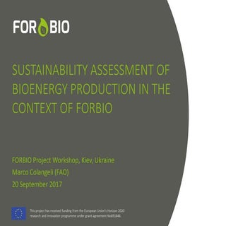 Sustainability assessment of bioene...