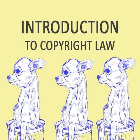 Introduction To Copyright Law
