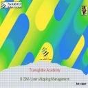 8 CSM- FUNCTIONS OF A LINER SHIPPING COMPANY