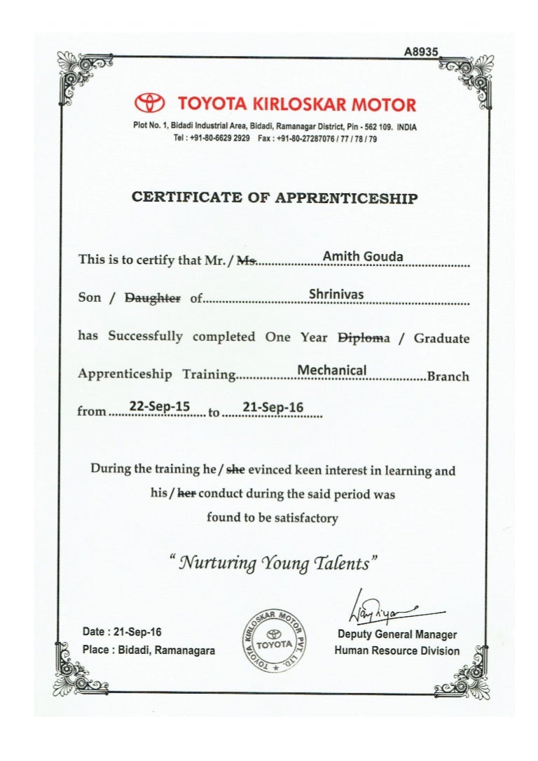 TOYOTA WORK EXPERIENCE