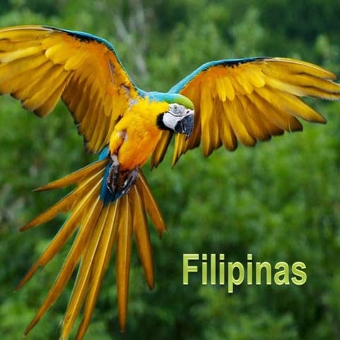 8E - Diogo Simões e Filipe Geraldo