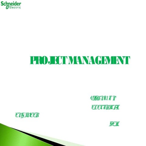PROJECT MANAGEMENT _PPT_VIS