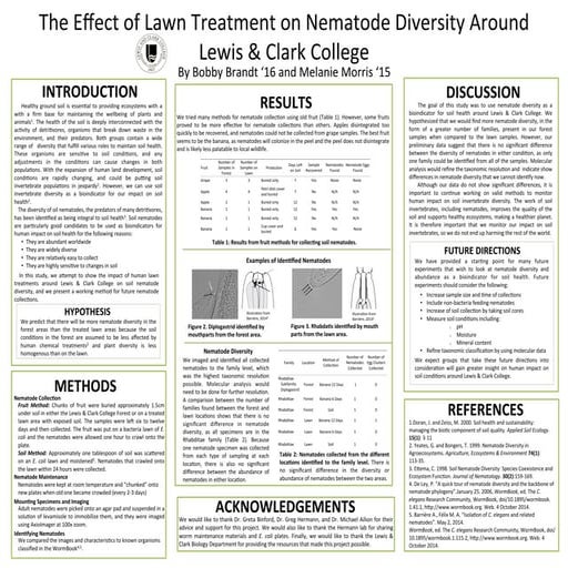 Corrected Nematode Poster 40x32