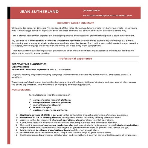 Vice President Resume