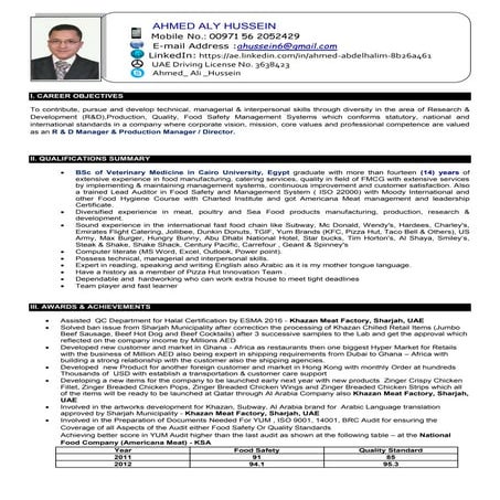 Ahmed Aly Hussein CV