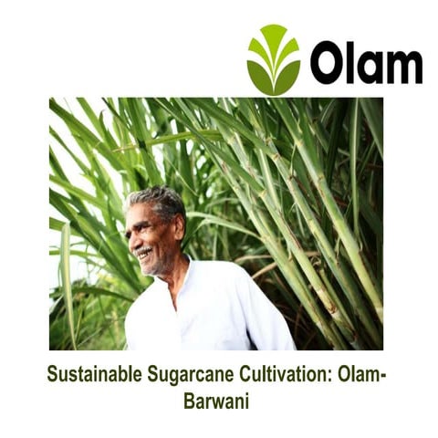 CII Olam  India Sugarcane Sustainability initiatives 25092016