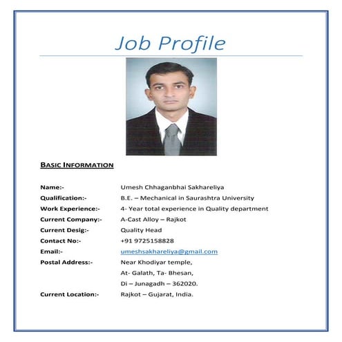Job Profile | PDF