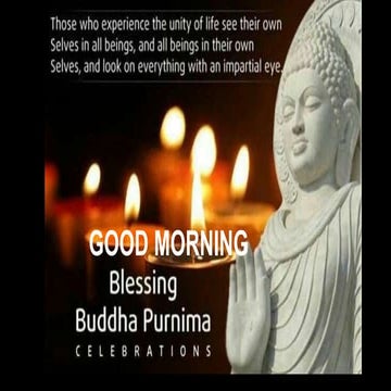 Extracellular Matrix : Session 2