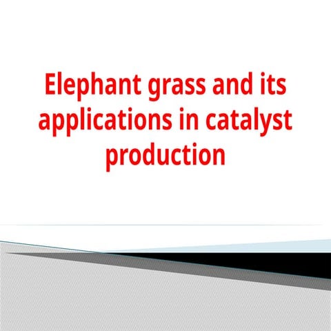 8Elephant grass and its applications in catalyst production.pptx