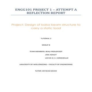 ENGG101- final report