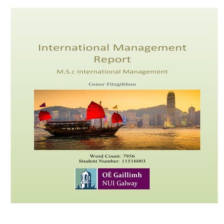 International Management Report 