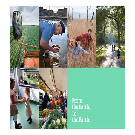 S6_LPIS_update_proces_NL