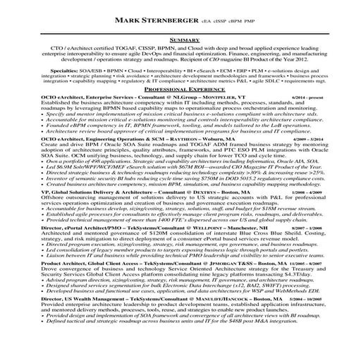 Sternberger CTO eArchitect CV