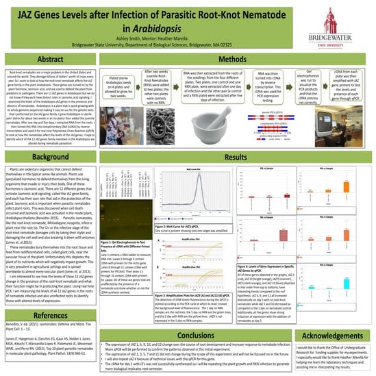 Spring 2016 Poster - Ashley 2