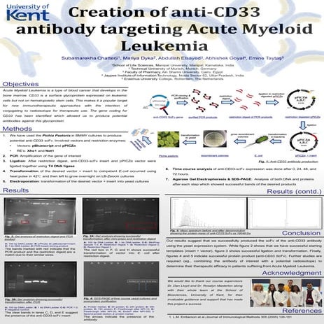 Atherosclerosis: New Insights on Foamy Macrophage Induction and ...