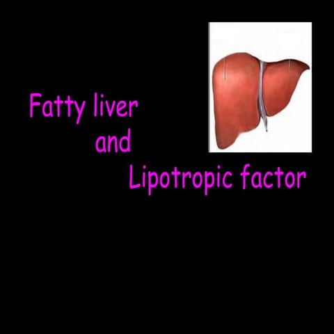 8 fatty liver and lipotropic factors