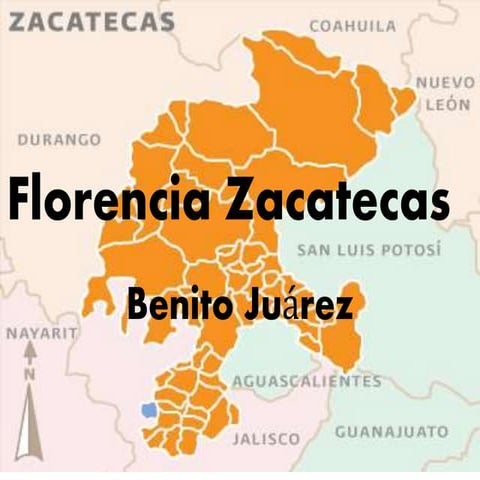 Florencia zacatecas