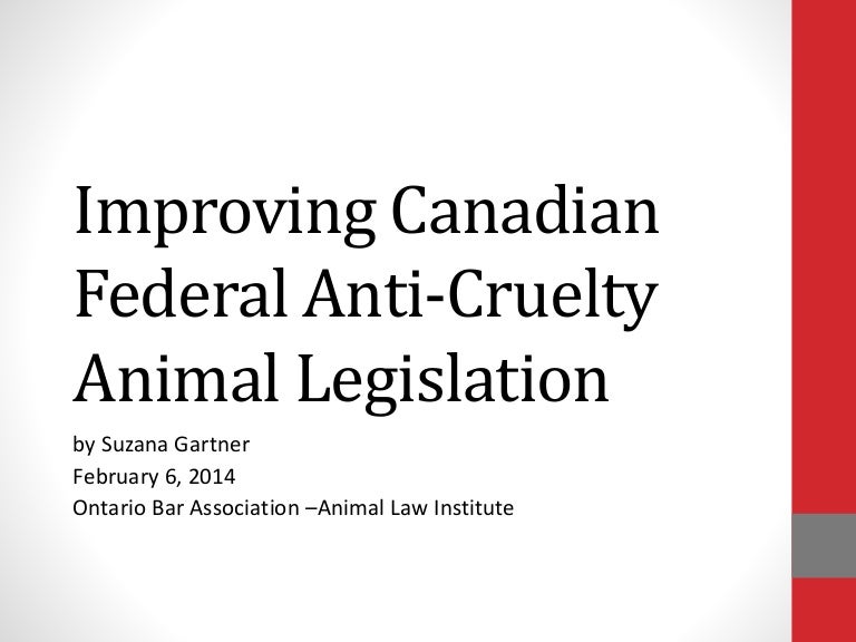 Animal Law Improving Canadian Federal AntiCruelty Animal Legislation