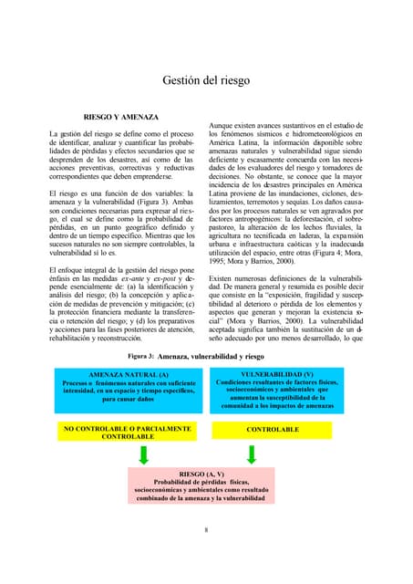 8 gestion de_riesgo