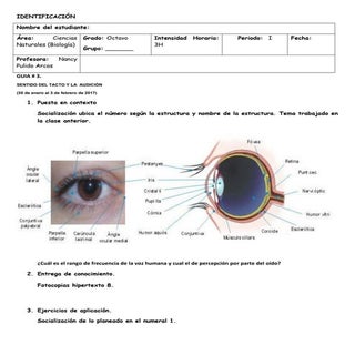 8 guía #3 primer periodo biología o...
