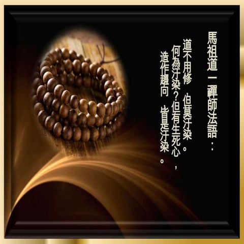 禪心慧語 8 h ( 163 177)