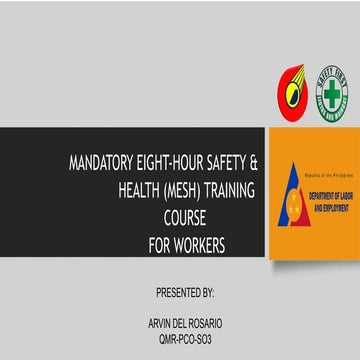 Occupational Health and Safety Programs Presentation.pptx