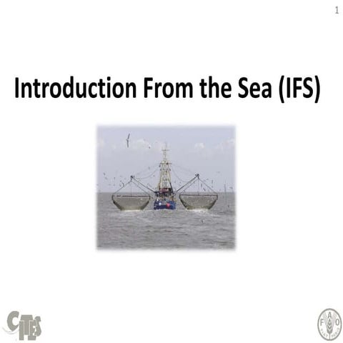 Introduction From the Sea (IFS)